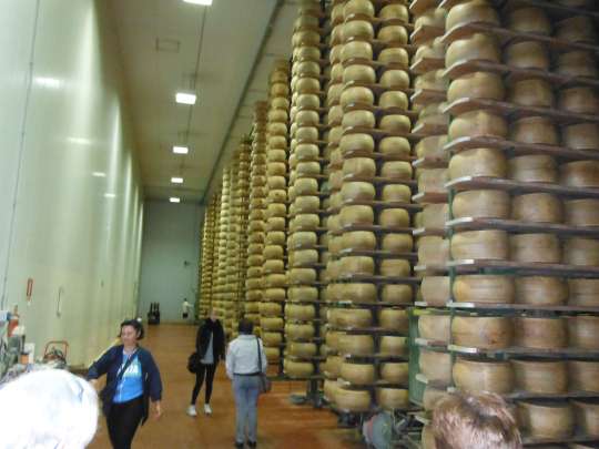 Racks of 40-kg wheels of Grana Padano cheese.