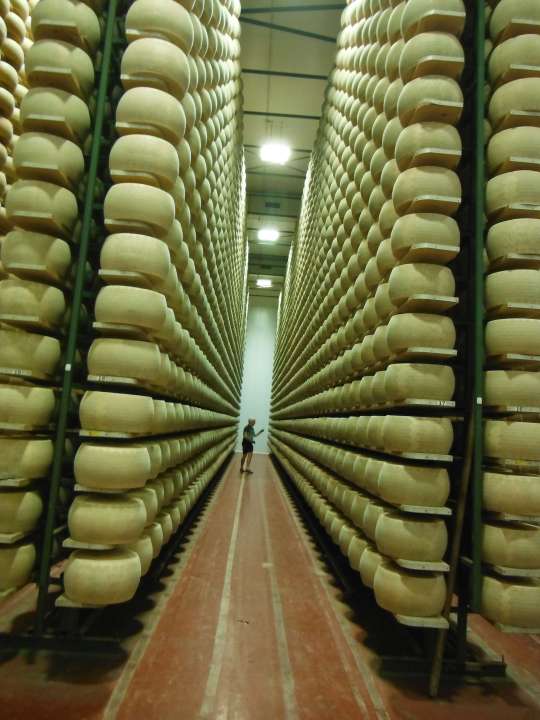The stacks were approx. 22 high, 26 rows, 23 deep. At 40 kg each, that's over half a million kgs of cheese!