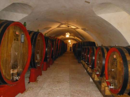 Casks of Merlot aging in one of the wine cellars.